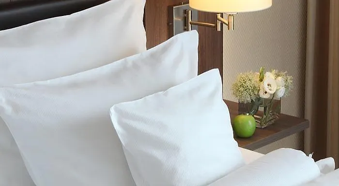 Lindner Am Dom, Part Of Jdv By Hyatt 酒店 4*