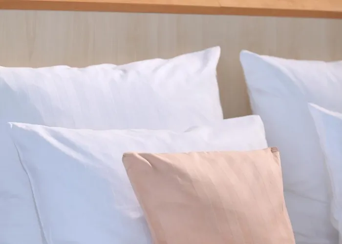 Lindner Am Dom, Part Of Jdv By Hyatt 4*